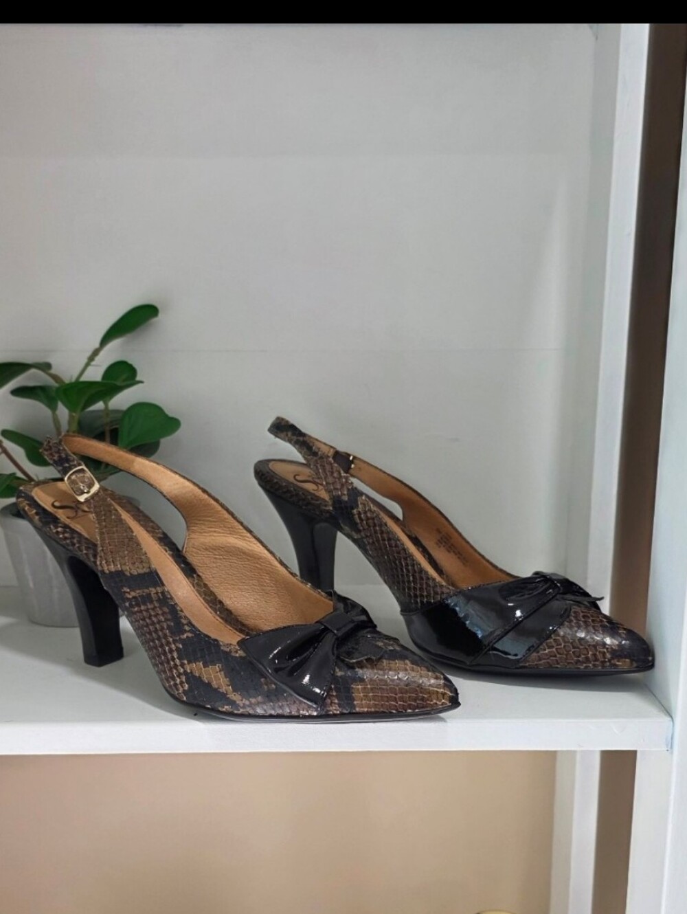Sofft Leather  Snake-Print Slingback  Pointed Toe Heels with  Patent Bow Detail